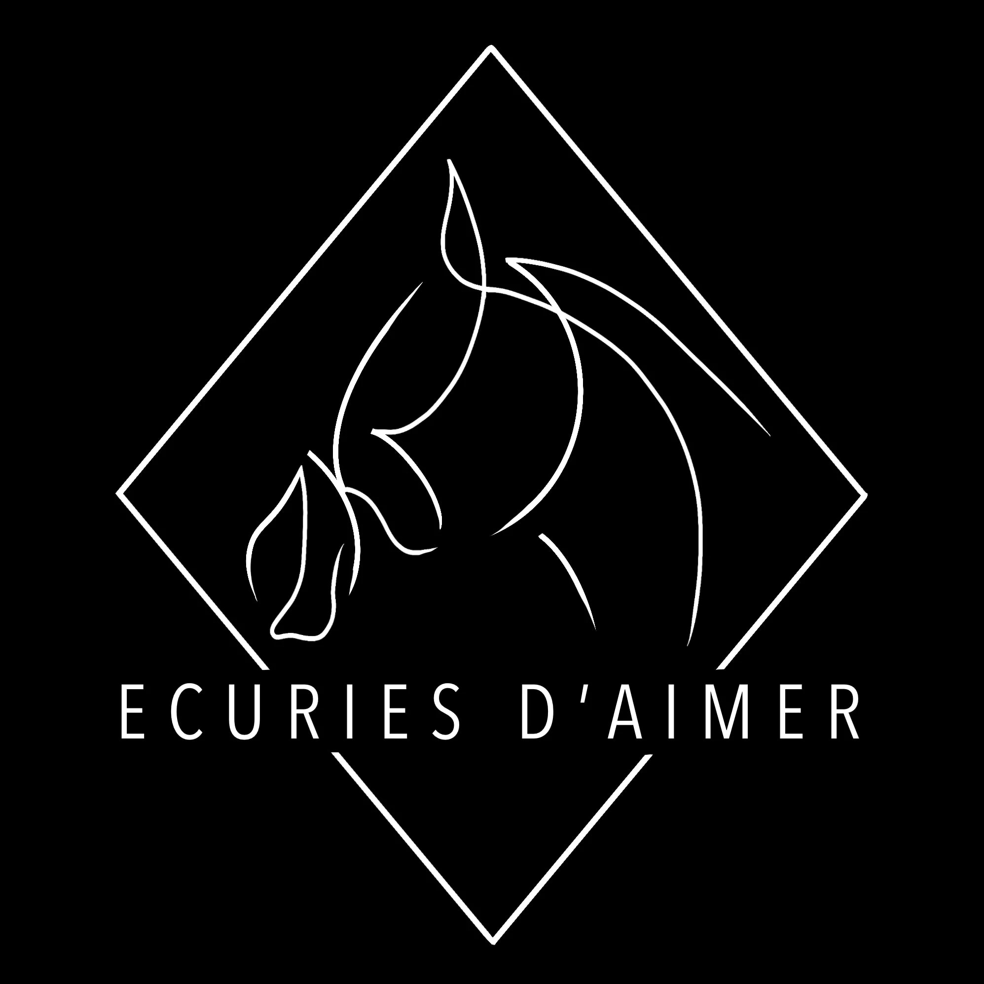 Ecuries de commerce et de propriétaire